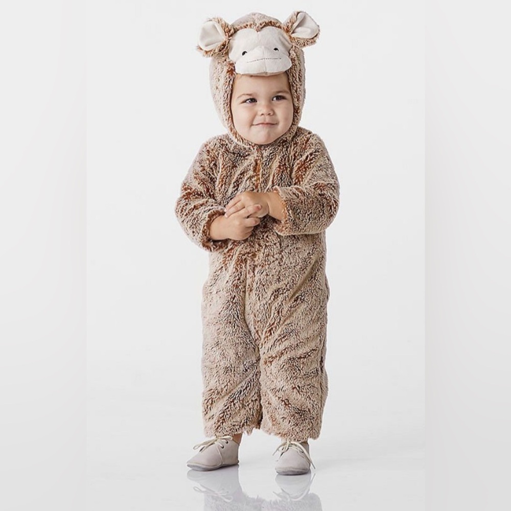 Pottery Barn Toddler Brown Plush Animal Costume
